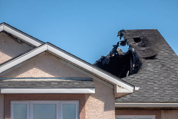 Top rated local Odor Removal specialists in Poolesville, MD